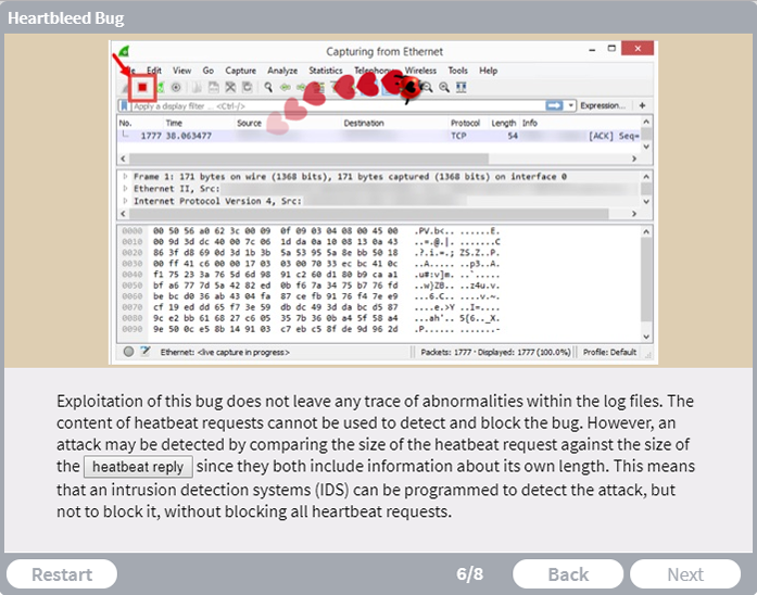 Heartbleed Bug